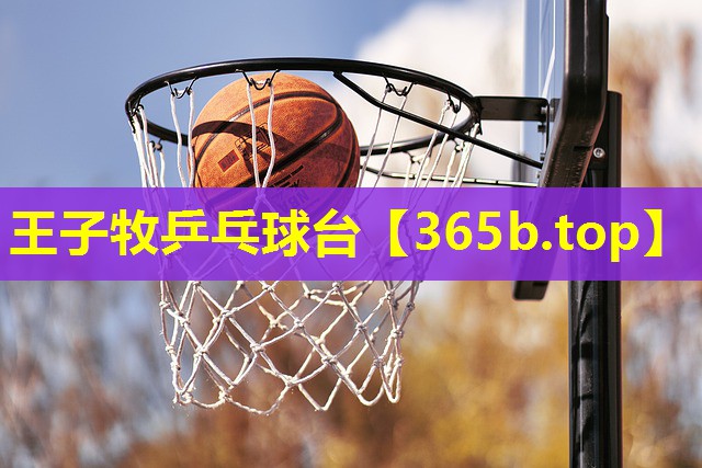 王子牧乒乓球台 王子牧乒乓球台