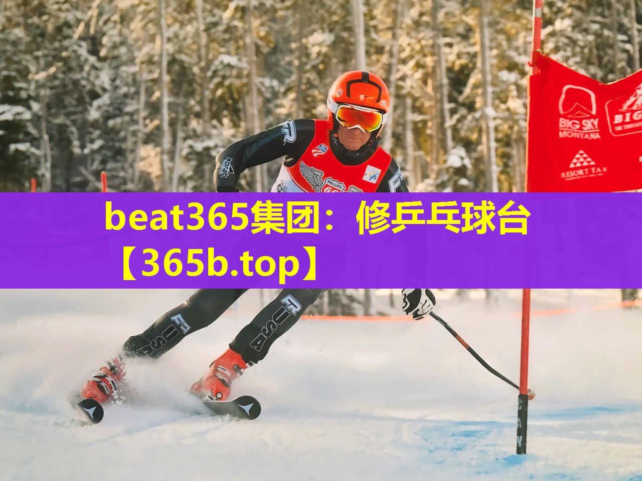 修乒乓球台 修乒乓球台